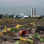 Horta urbana abandonada em Brasília, expondo falhas na agricultura local.