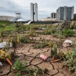 Horta urbana abandonada em Brasília, ilustrando falhas na agricultura urbana do DF durante debates na CLDF.