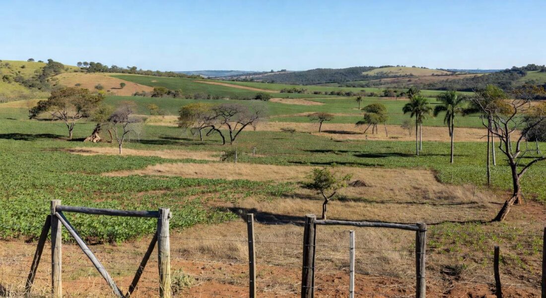 Fazenda rural em Planaltina, DF, com campos cultivados e paisagem do cerrado, declarada para reforma agrária pelo Incra.