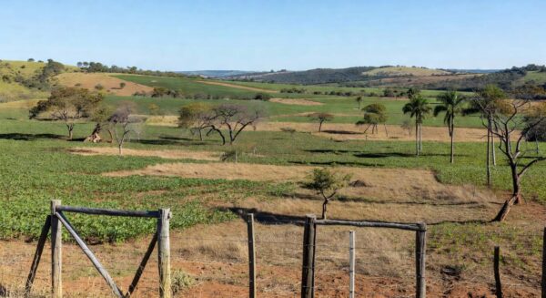 Fazenda rural em Planaltina, DF, com campos cultivados e paisagem do cerrado, declarada para reforma agrária pelo Incra.