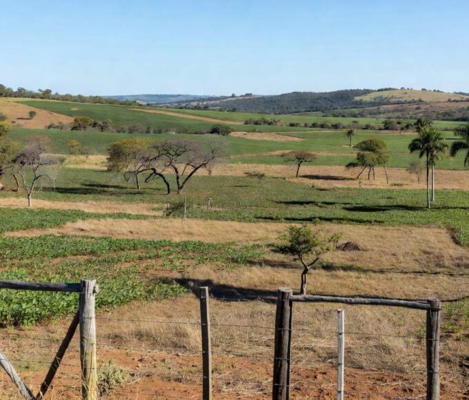 Fazenda rural em Planaltina, DF, com campos cultivados e paisagem do cerrado, declarada para reforma agrária pelo Incra.