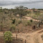Terrenos irregulares em Sobradinho travados por burocracia na regularização fundiária