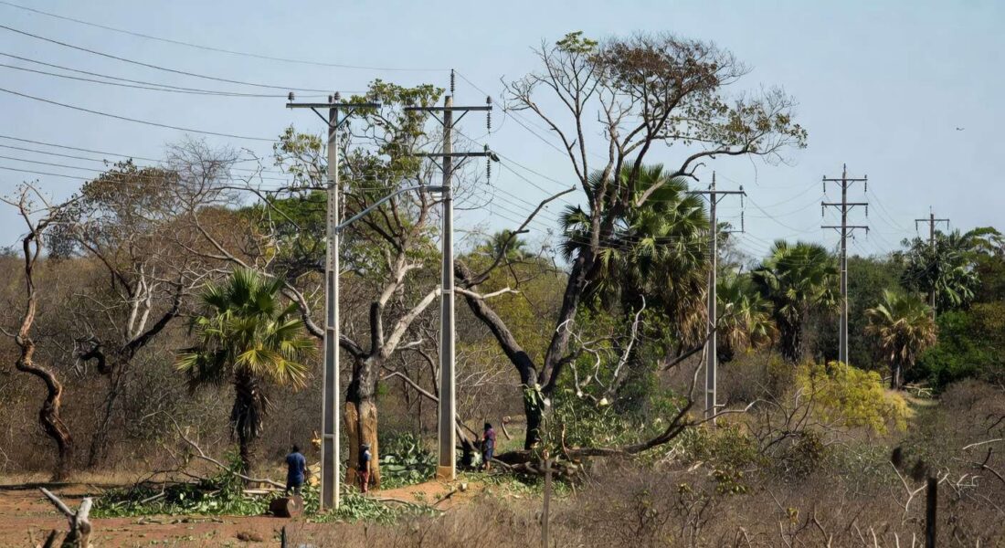 Linhas de energia e árvores em Sobradinho durante poda pela Neoenergia