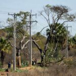 Linhas de energia e árvores em Sobradinho durante poda pela Neoenergia