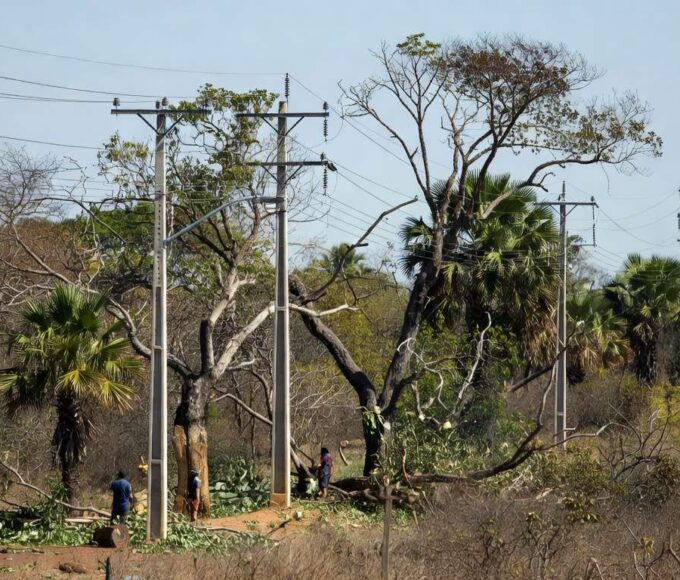 Linhas de energia e árvores em Sobradinho durante poda pela Neoenergia