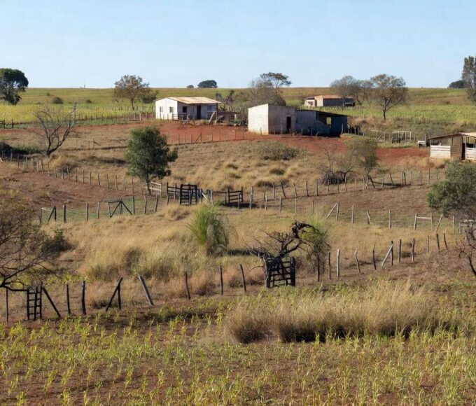 Paisagem rural do Núcleo Lago Oeste com propriedades agrícolas regularizadas