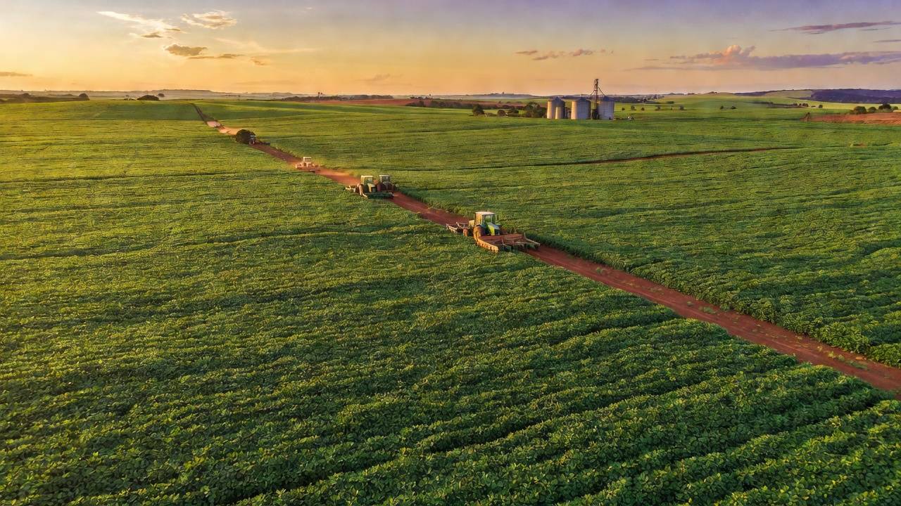 Lavoura de soja no DF representando crédito rural aprovado pela Câmara