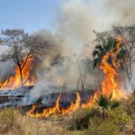 Incêndio na Reserva Biológica da Contagem no Distrito Federal