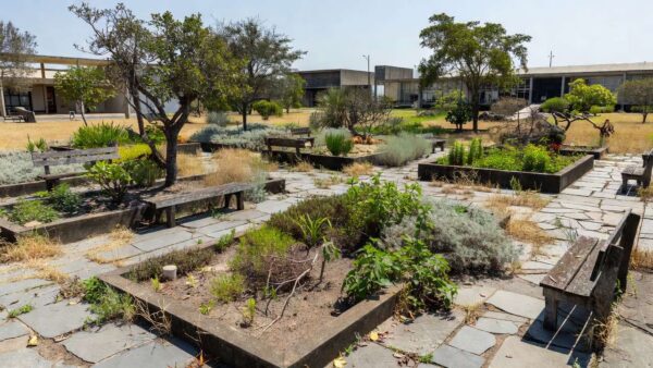 Jardim terapêutico em Brasília com vegetação do cerrado, simbolizando lei aprovada no DF