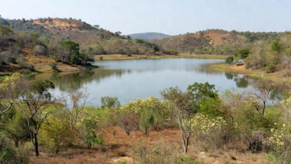 Vista do Lago Corumbá, cenário de afogamento em Goiás