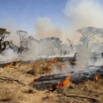 Focos de incêndio no Cerrado seco do Distrito Federal durante longa estiagem