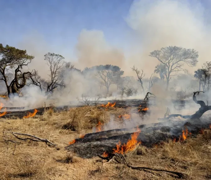 Focos de incêndio no Cerrado seco do Distrito Federal durante longa estiagem